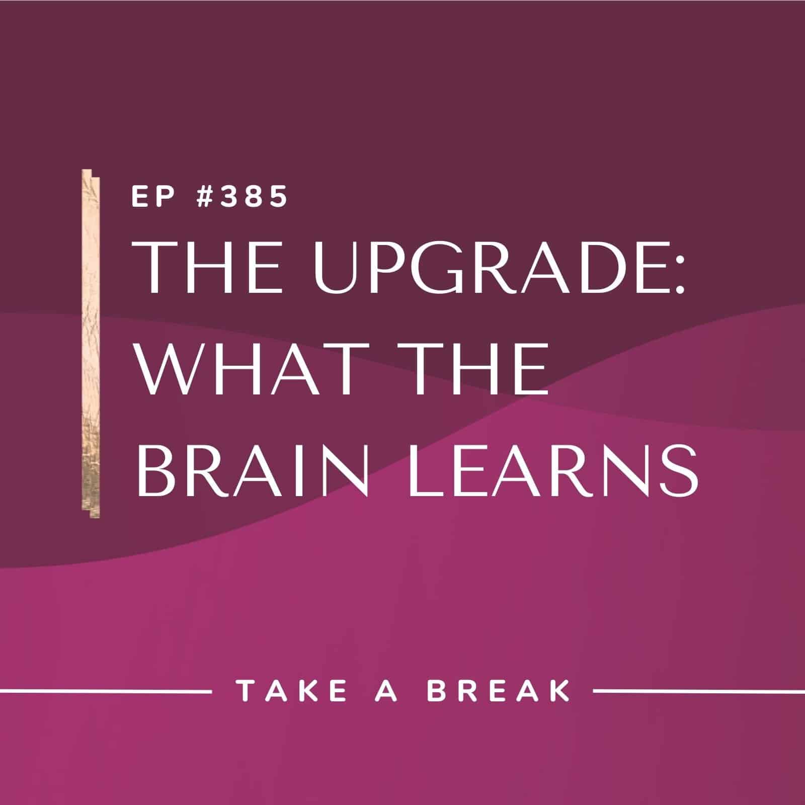 Take A Break from Drinking with Rachel Hart | The Upgrade: What the Brain Learns
